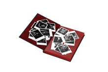 Load image into Gallery viewer, SIGNED SPECIAL EDITION VERY LIMITED QUANTITY: MAFIA CAPTIVE